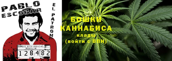 СК Каменск-Шахтинский