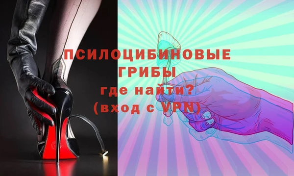 2c-b Каменногорск