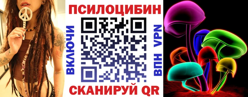 Купить закладки  Кызыл  Псилоцибиновые грибы MAGIC MUSHROOMS 