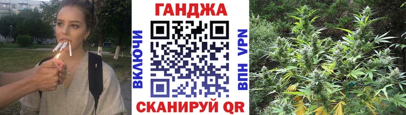 Купить закладки  Кызыл  Бошки Шишки ГИДРОПОН 